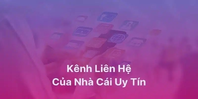 Liên hệ Vai trò quan trọng của việc liên hệ trong dịch vụ khách hàng